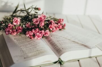pink flowers on book page